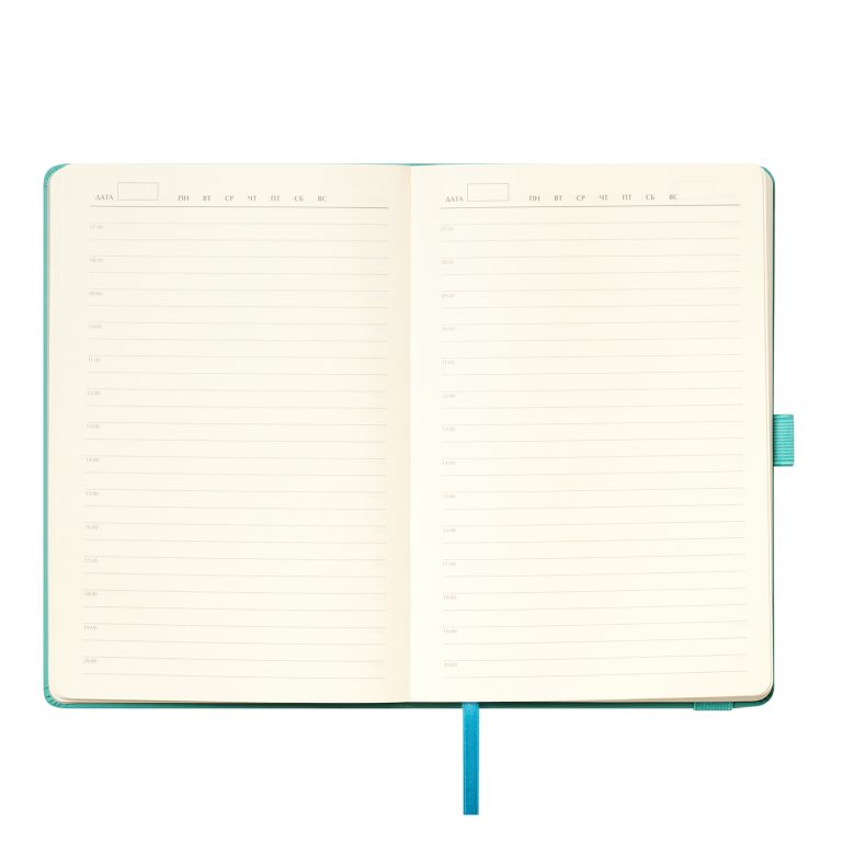 Ежедневник Альфа (Alpha) недатированный, бирюзовый/серый — изображение 8