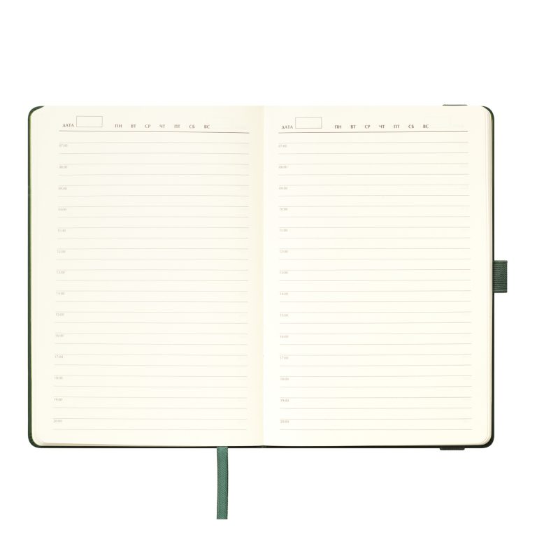 Ежедневник Альфа (Alpha) недатированный, зеленый/оливковый — изображение 9