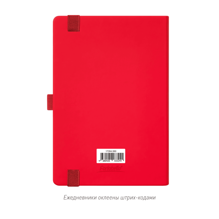 Ежедневник Альфа (Alpha) недатированный, красный/серый — изображение 10