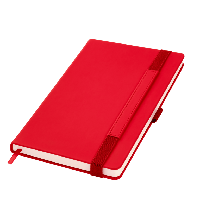 Ежедневник Альфа (Alpha) недатированный, красный/серый — изображение 2