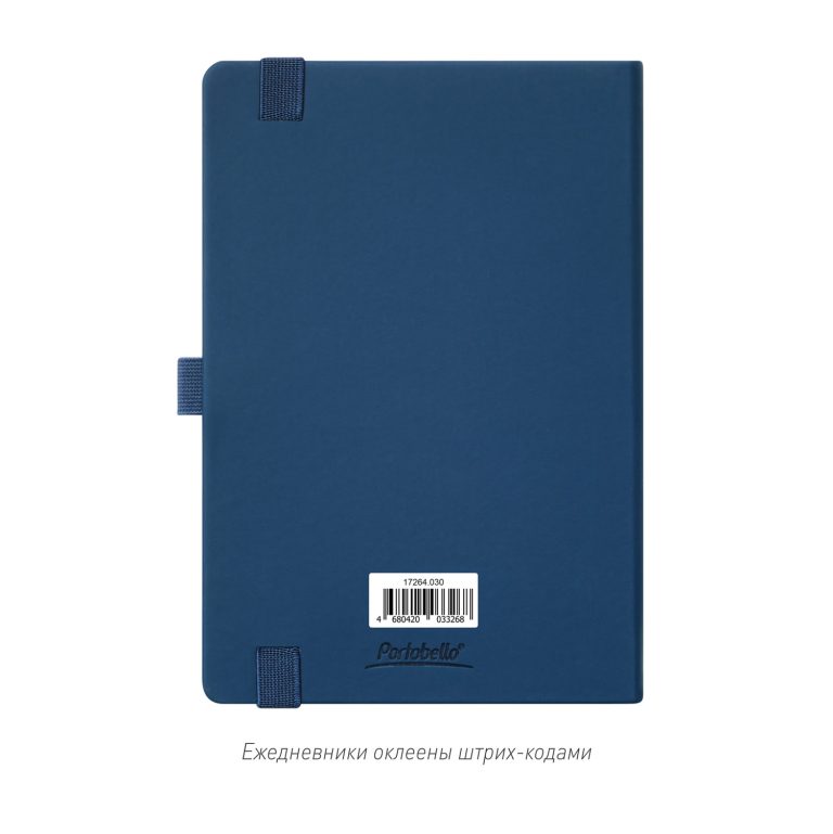 Ежедневник Альфа (Alpha) недатированный, синий/голубой — изображение 10