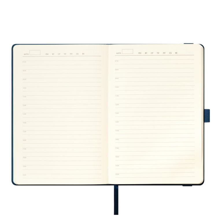 Ежедневник Альфа (Alpha) недатированный, синий/голубой — изображение 8
