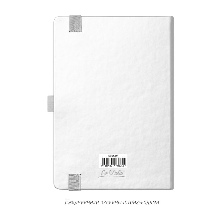 Ежедневник Альфа (Alpha) недатированный, серебро/серый — изображение 10