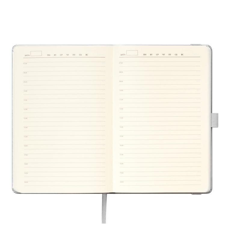 Ежедневник Альфа (Alpha) недатированный, серебро/серый — изображение 8