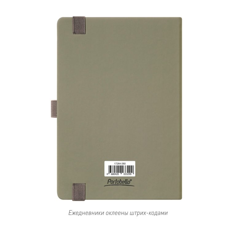 Ежедневник Альфа (Alpha) недатированный, серый/бирюзовый — изображение 10