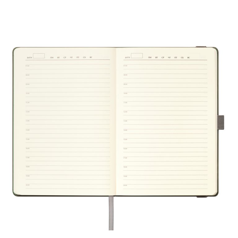 Ежедневник Альфа (Alpha) недатированный, серый/бирюзовый — изображение 8