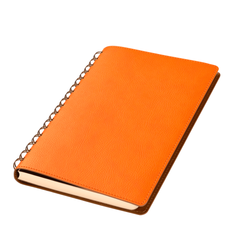 Ежедневник Виста (Vista) недатированный, оранжевый/коричневый — изображение 2