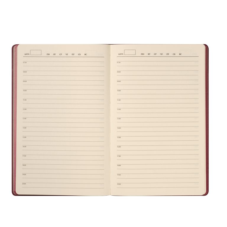 Ежедневник Рейн (Rain) недатированный, бургунди (без упаковки, без стикера) — изображение 9