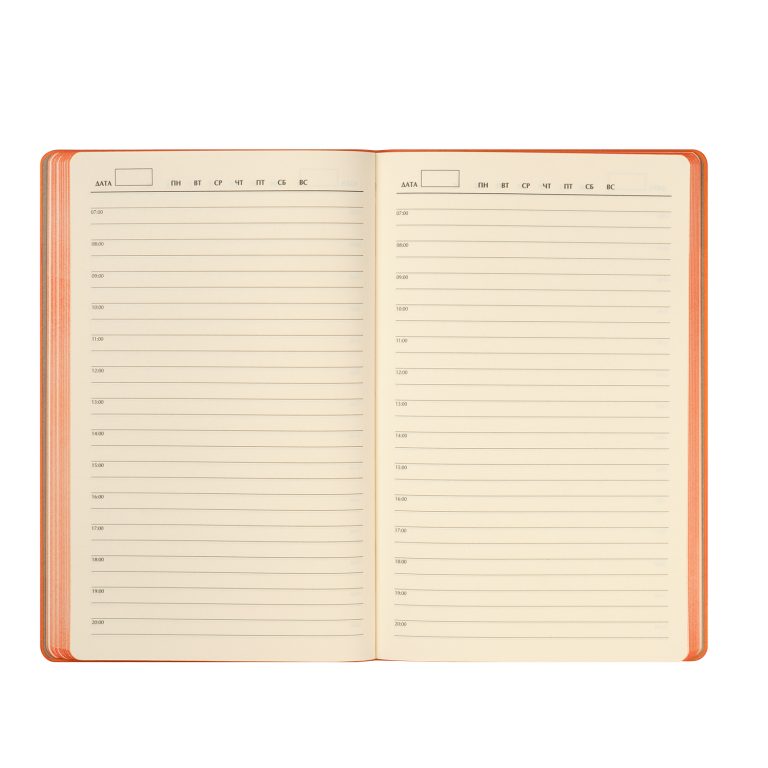 Ежедневник Рейн (Rain) недатированный, оранжевый (без упаковки, без стикера) — изображение 9