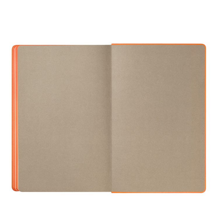 Ежедневник Рейн (Rain) недатированный, оранжевый (без упаковки, без стикера) — изображение 10