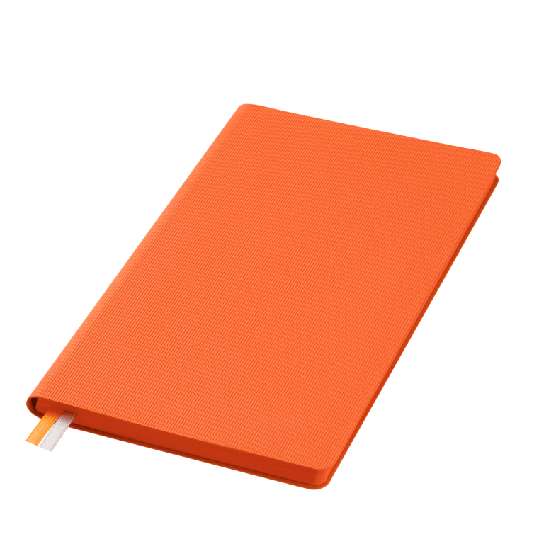 Ежедневник Рейн (Rain) недатированный, оранжевый (без упаковки, без стикера) — изображение 2