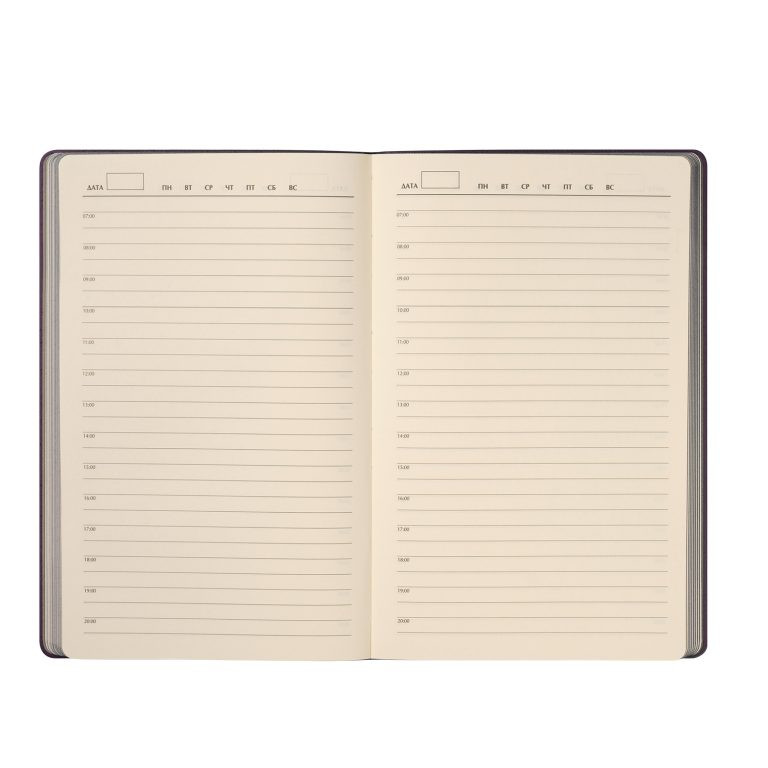 Ежедневник Рейн (Rain) недатированный, фиолетовый (без упаковки, без стикера) — изображение 9