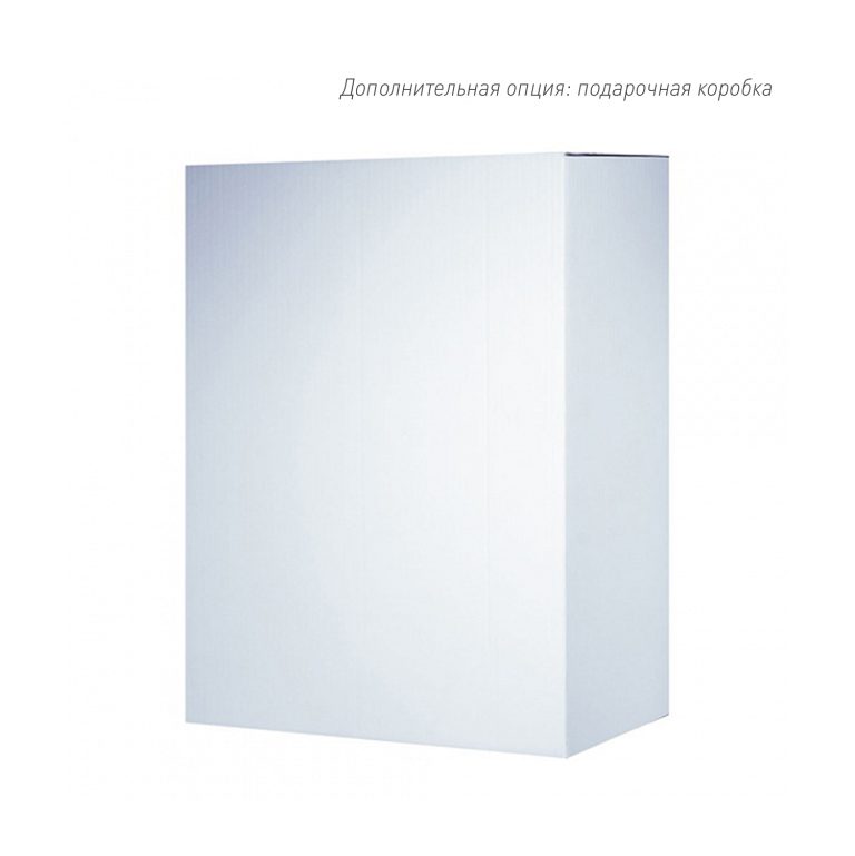 Бизнес рюкзак Таллер (Taller)  с USB разъемом, черный — изображение 9