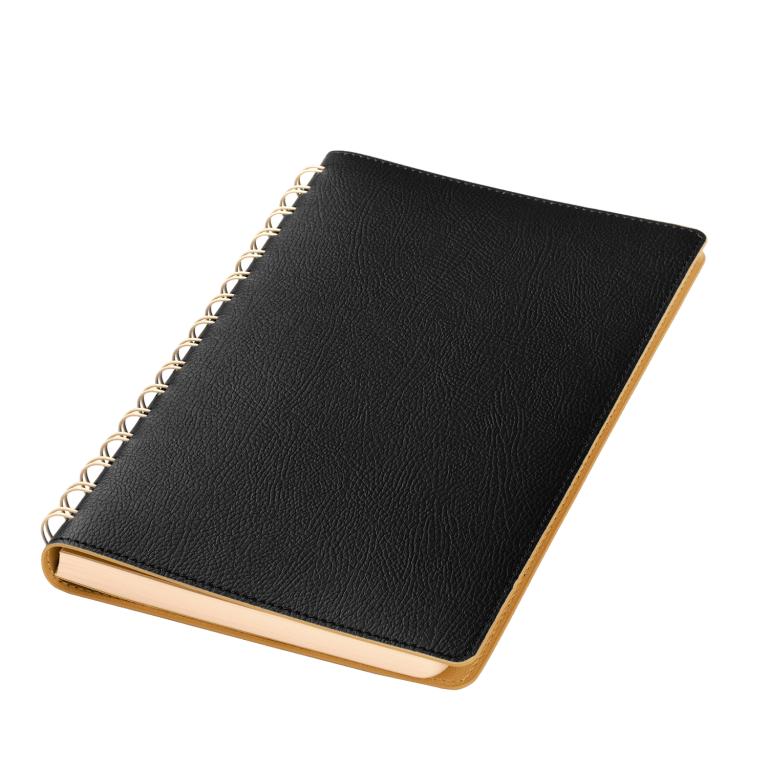 Ежедневник Виста (Vista) недатированный, черный/бежевый — изображение 2