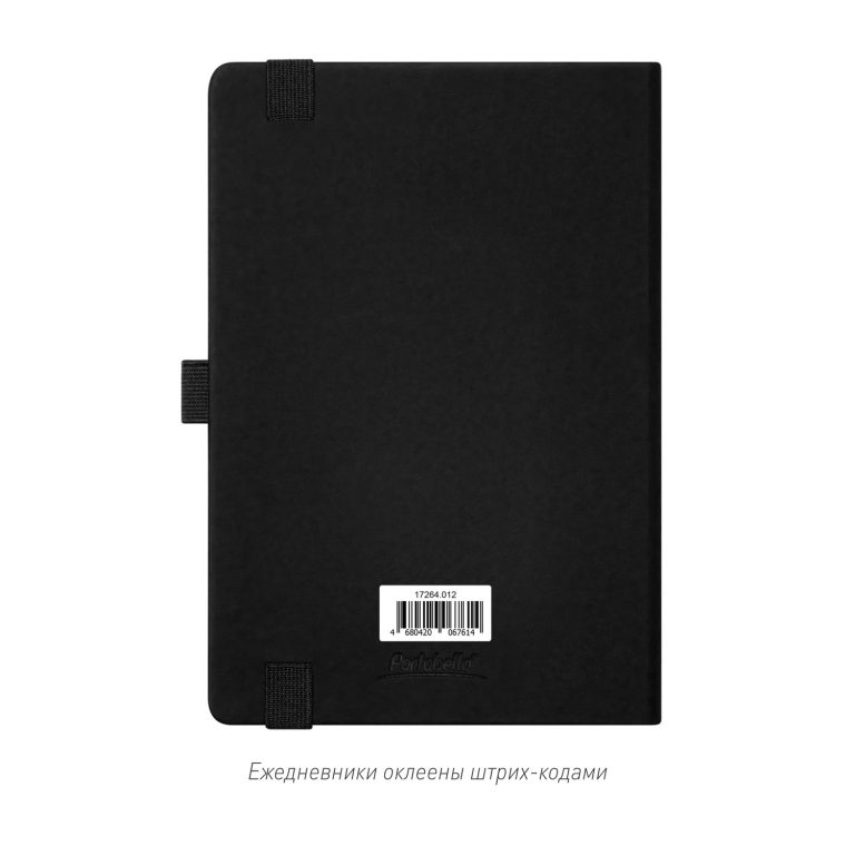 Ежедневник Альфа (Alpha) недатированный, черный/черный — изображение 10
