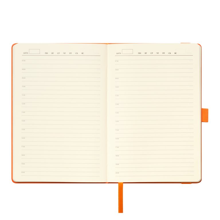 Ежедневник Альфа (Alpha) недатированный, оранжевый/оранжевый — изображение 8