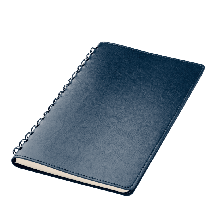 Ежедневник Виста Нео (Vista Neo) недатированный, синий — изображение 2