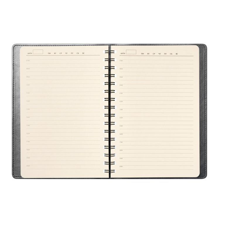 Ежедневник Виста Нео (Vista Neo) недатированный, серый — изображение 8