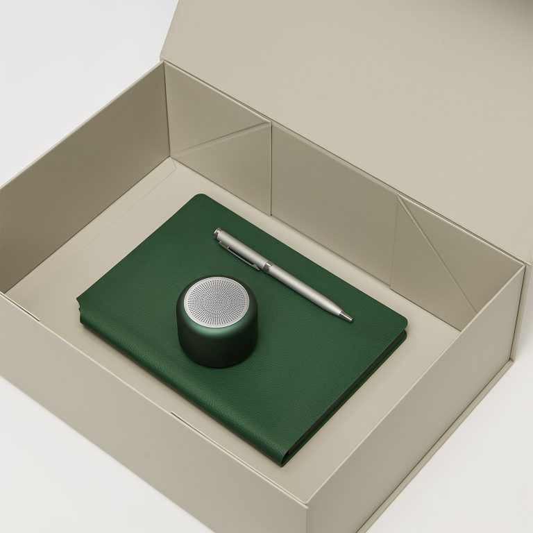 Подарочный набор Пассион, Молто (Passion, Molto), зеленый (колонка, ежедневник, ручка) — изображение 2