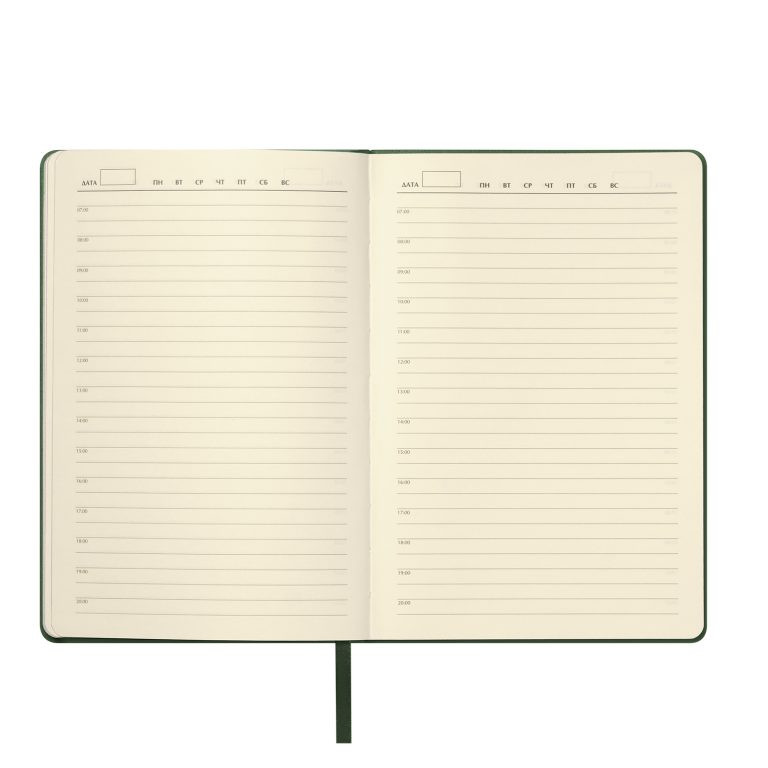 Ежедневник Молто (Molto) недатированный, зеленый (без упаковки, без стикера) — изображение 7
